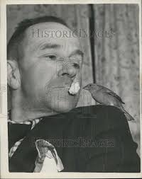 Press Photo Edwin Philips Delafield Road Charlton Feeding His Sparrow By  Mouth