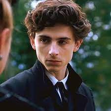 He began his acting career in short films and commercials, before appearing in the television drama series homeland in 2012. 3 On Instagram Laurie My Favorite Timothee Chalamet Laurie Beautiful Boys