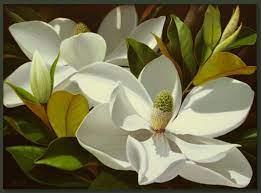 Pin By Paulette On Southern Belle Magnolia Flower Flower Painting Flower Art