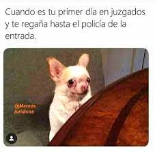 Pin By Elizabeth Soto On Fraces Graciosas De Abogados Really Funny Memes Funny Memes Funny Relatable Memes
