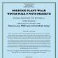 Winter Solstice Plant Walk @ Potts Preserve! event image