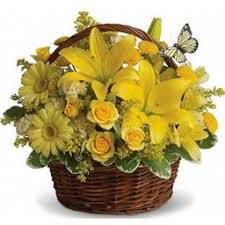 Suzette Marie Penton