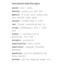 The Zodiac Through Pisces Eyes Zodiac Signs Pisces Zodiac Star Signs Zodiac Sign Traits