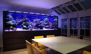 Wp Design Inspiration Ideas All About Home Decor Diy Inspiration Amazing Aquariums Aquarium Design Fish Tank Design