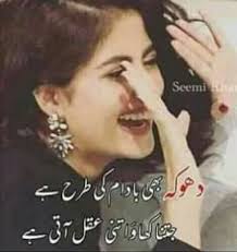 Noor Quotes From Novels Crazy Girl Quotes Funny Words