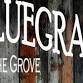 Bluegrass in the Grove event image