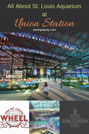 Reasons To Be Excited For The Union Station Aquarium Seeing Dandy In 2020 St Louis Missouri Vacation St Louis Union Station Kids Vacation