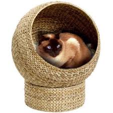 cozy cat shelters heated kitty camper cat cave pet furniture animal room