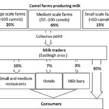 I recommend reading camel in action, by claus ibsen and myself to really get the full picture support for the integration of beans and pojos in various places in camel. Pdf Value Chain Analysis And Sanitary Risks Of The Camel Milk System Supplying Nairobi City Kenya