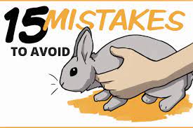 15 Common Mistakes Rabbit Owners Make That You Should Avoid