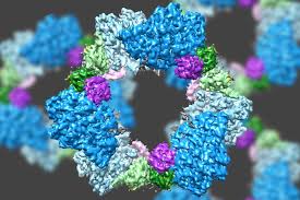 Scientists deliver high-resolution glimpse of enzyme structure | MIT News |  Massachusetts Institute of Technology