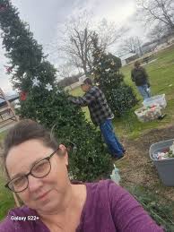 Removing Christmas trees and decor at the park