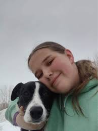 Veterinarian In Riverton, WY