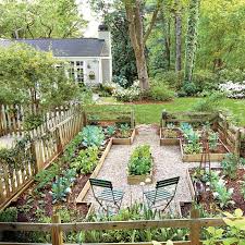 2418101 Dougs 0271 Jpg 694 694 Garden Layout Cottage Garden Backyard Garden