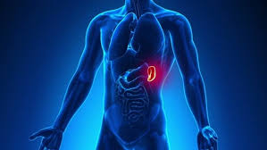 Dicendomi che può essere causato dalla mia cattiva alimentazione.ora una. Male Alla Milza Integratori Alimentari Dolore Milza