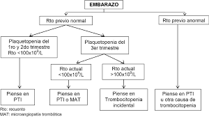 En este trabajo observamos la presencia de síndrome purpúrico y trombocitopenia severa periférica. Http Sah Org Ar Docs 447 470 11 Sah Guia2012 Trombocitopeniainmune Pdf
