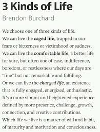 'no matter your position, circumstances, or opportunities in life, you always have the freedom of mind to choose how you experience, interpret, and, ultimately, shape your world.', 'personal power is directly tied to personal responsibility, which most people avoid.', and 'we have patiently suffered long enough, hoping that someone or some kind of luck would. Pin By Jelle On Contemplate Motivation Manifesto Words Of Wisdom Inspirational Quotes