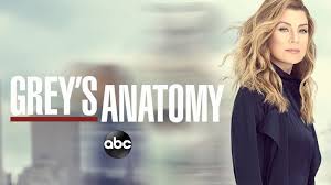 2005 141k members 17 seasons 375 episodes. Grey S Anatomy Season 16 Episode 14 Release Date Promo Stream And Watch Online Digistatement