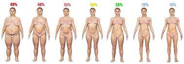 We did not find results for: Body Fat Percentage Photos Of Men Women Builtlean