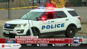 Homicide detectives ID woman shot in car in Avondale
