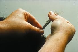 Image result for Hair Pull Test