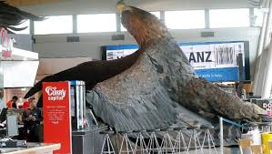 Image result for New Zealand Eagle Airport earthquake