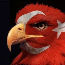 Kartal Resimli Turk Bayraklari Bayrak Kartal Karikatur Kitabi