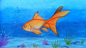 Ad choices advertise privacy policy do not sell my personal information ca notice closed captioning pressbox sports. How To Draw A Scenery Of Goldfish With Oil Pastel Step By Step Easy Draw Youtube