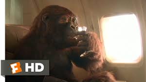 When an expedition to the african congo ends in disaster, a new team is assembled to find out what a megalomaniacal c.e.o. Congo 2 9 Movie Clip Amy Want Green Drop Drink 1995 Hd Youtube