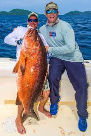 Panama Fishing Sport Fish Panama Island Lodge Fishing Lodge Panama Islands Fish