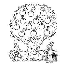 This is another free resource for teachers and homeschool families from the curriculum corner. Top 30 Apple Coloring Pages For Your Little Ones