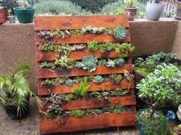 The pallet vertical gardens are growing rapidly because they carry more for captivating and stunning effects and impacts to garden.you can grow strawberry, expensive herbs and plants which are hard to find, and many types of flowers. 12 Beautiful Pallet Garden Ideas Roots Nursery