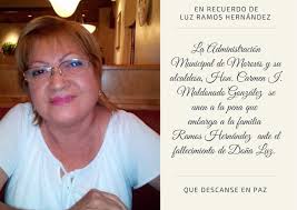 Municipio de Morovis Oficial