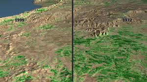 Image result for Forest Green 1972 Satellite