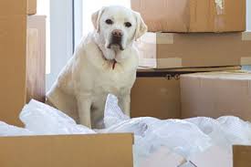 They will relocate your pet comfortably to the desired location. Best Packers And Movers In Chandigarh At Low Price Compare Rates