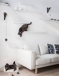 Amazing Cat Trees Diy Cat Shelves Ikea Picture Ledge Cat Climber