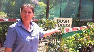 Here's my mega list of fruit trees suitable for brisbane: Shop Tour Daleys Fruit Tree Nursery Kyogle Nsw Australia Daleysfruit Com Au Youtube