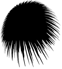 Free Free Aesthetic Svg Free SVG PNG EPS DXF File