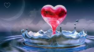 Maybe you would like to learn more about one of these? Je T Aime Tu Es Ma Vie Mon Amour Youtube