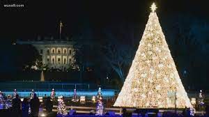 Where Is The National Christmas Tree From 2022 National Christmas Tree Lighting 2020 Is Virtual Due To Covid-19 | Wusa9.Com