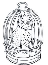 Search through 623,989 free printable colorings at getcolorings. Realistic Owl Cage Coloring Pages Bestappsforkids Com
