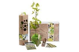 La plantation d'arbres constitue en effet une des actions les plus faciles et les plus efficaces au niveau. Planter Un Arbre Pour Une Naissance