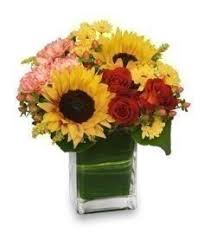 You will find furniture, area rugs, pictures, lighting , accessories, and the most amazing selection of seasonal decor of any store. Season For Sunflowers Floral Arrangement In Greensboro Nc Blossoms By Stroud Florist Sunflower Floral Arrangements Thanksgiving Flowers Floral Arrangements