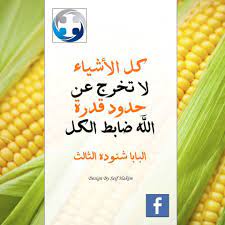 مكتبة الصور christian quotes quotes image