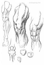 Art Book Constructive Anatomy By George Bridgman Human Anatomy Drawing Anatomy Sketches Anatomy Drawing