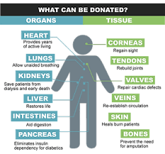 Image result for Tissue Donation