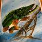 Oxtongue Pike Derby event image