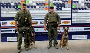 Deputy D Johnson K9 Enzo With Deputy David Dickerson K9 Max Williamson County Sheriff S Office Rou Round Rock Express Williamson County County Sheriffs