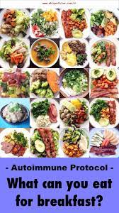 Was Konnen Sie Auf Der Aip Diat Zum Fruhstuck Essen Ein Eichhornchen In Der Kuche What Can You Eat Aip Paleo Recipes Autoimmune Paleo Recipes Aip Breakfast