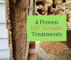 4 Proven Diy Termite Treatments Home And Gardening Ideas Diy Termite Treatment Termite Treatment Termites